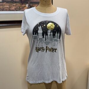 Harry Potter Hogwarts Castle at Night